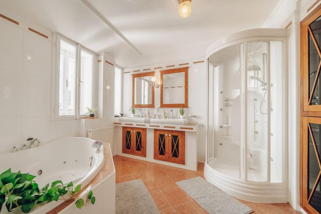 Magnificent Historical Penthouse In The Heart Of Prague Apartment ภายนอก รูปภาพ