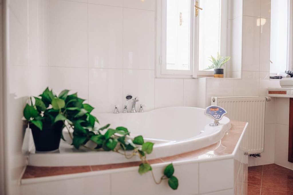 Magnificent Historical Penthouse In The Heart Of Prague Apartment ภายนอก รูปภาพ
